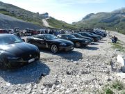 jaguar alle tre cime di lavaredo (14/26)